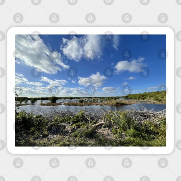 Florida Everglades Sticker by Sparkleweather